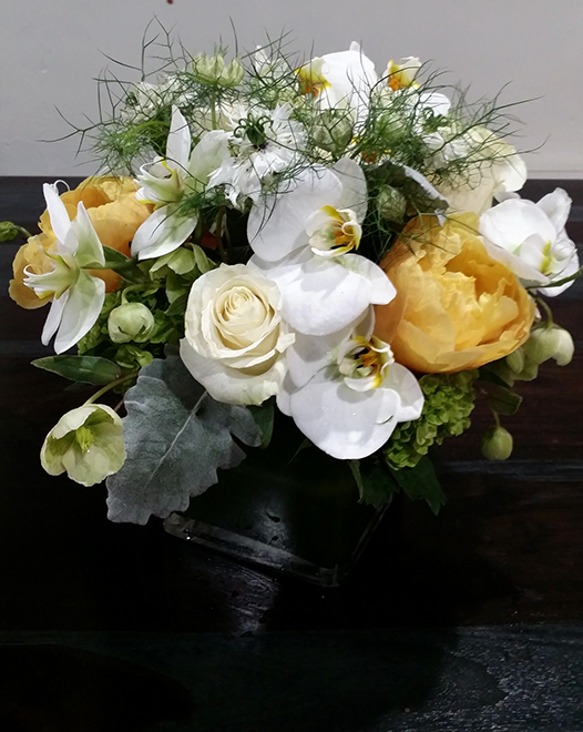  	Tjflowers 0101
